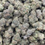Gelato 41 Strain