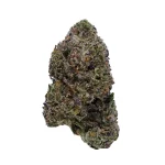 Gelato Z Strain