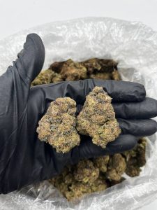 Ghost Face Strain
