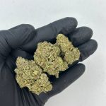 Glitter Bomb Strain