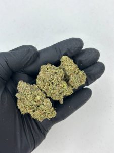 Glitter Bomb Strain