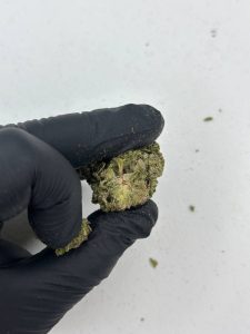 Glitter Bomb Strain - Image 3