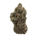 GMO X Sherb Crasher Strain