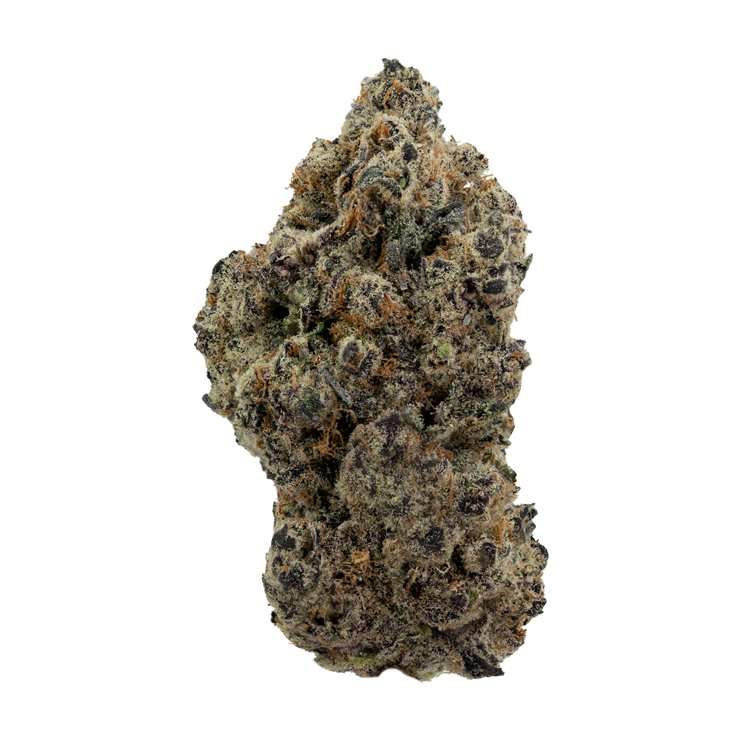 gmo-sherb-crasher-strain.png GMO X Sherb Crasher Strain - Image 1