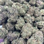 Guava Grape Strain