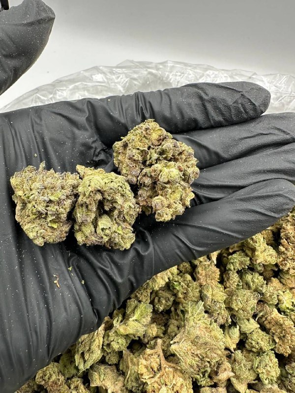 hash-burger-strain.jpeg Hash Burger Strain - Image 1