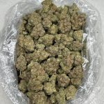 Honey D Strain