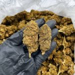 Jack Strain