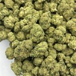 Jealousy Mints Strain