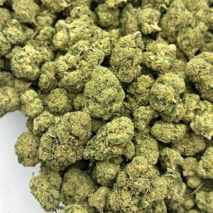 Jealousy Mints Strain