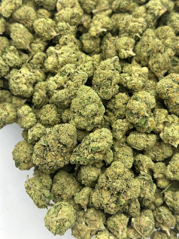 jealousy-mints-strain-1.jpeg Jealousy Mints Strain - Image 1