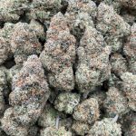 Keylime Rambutan Strain