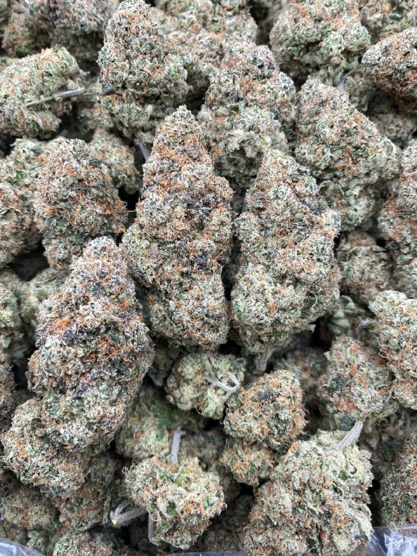 keylime-rambutan-strain.jpeg Keylime Rambutan Strain - Image 1