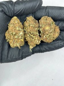 LA Kush Strain