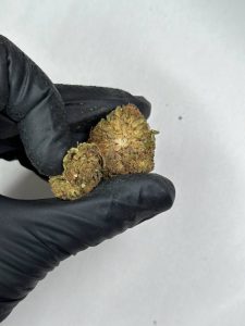 LA Kush Strain - Image 3