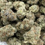 Lemon Cherry Pancakes Strain