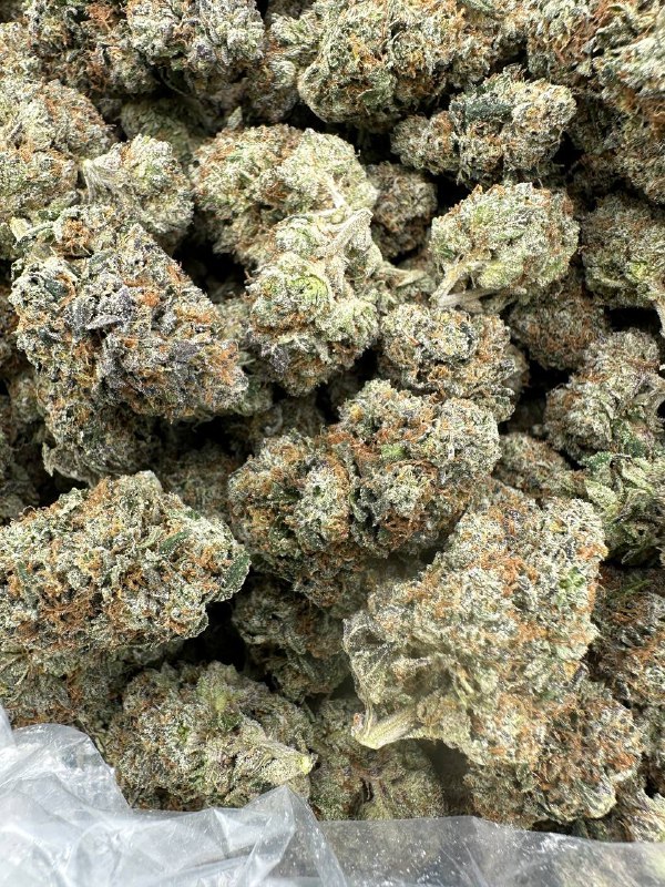 lemon-cherry-pancakes-strain-1.jpeg Lemon Cherry Pancakes Strain - Image 1