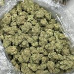 Lion OG Strain