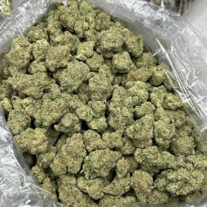Lion OG Strain