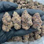Nerdz Strain