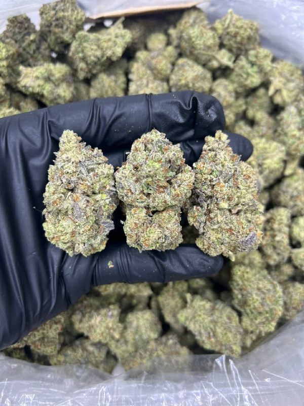 oreo-runtz-strain.jpeg Oreo Runtz Strain - Image 1