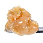 Papaya Live Rosin Badder