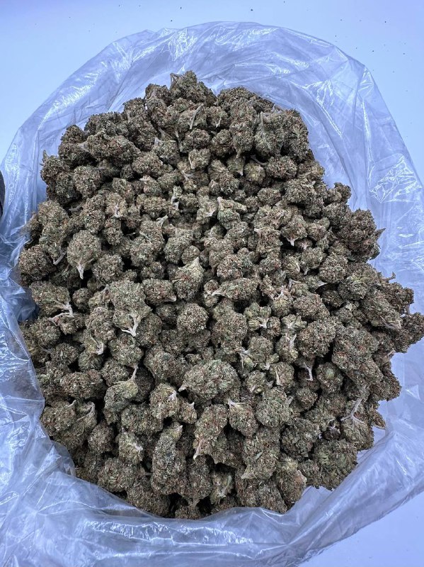pb-gelato-strain.jpeg Pb Gelato Strain - Image 1