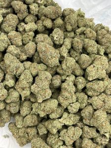 Peach Rings Strain