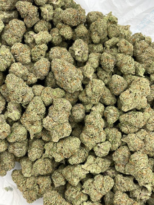 peach-rings-strain-1.jpeg Peach Rings Strain - Image 1