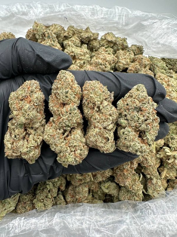 pina-colada-strain.jpeg Pina Colada Strain - Image 1