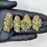 Pink Runtz Strain