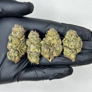 Pink Runtz Strain
