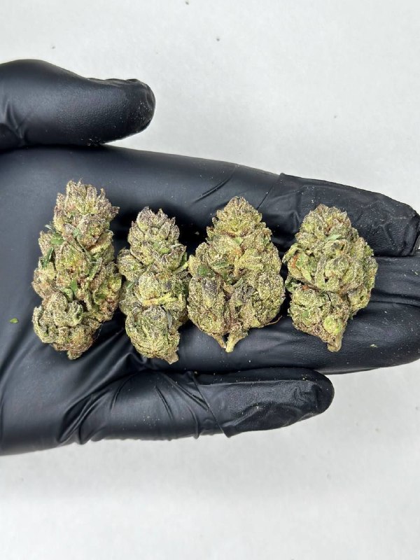 pink-runtz-strain-1.jpeg Pink Runtz Strain - Image 1