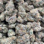 Poison Nerdz Strain