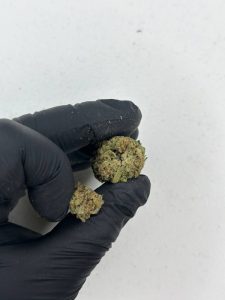 Rainbow Belts Strain - Image 3