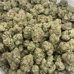 Rainbow Biscotti Strain