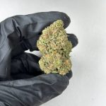 Rainbow Cake Strain