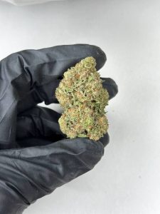Rainbow Cake Strain
