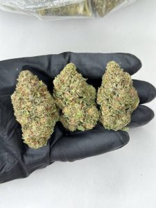 Rainbow Cake Strain - Image 3