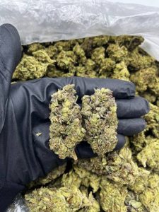 Rainbow Snow Cone Strain