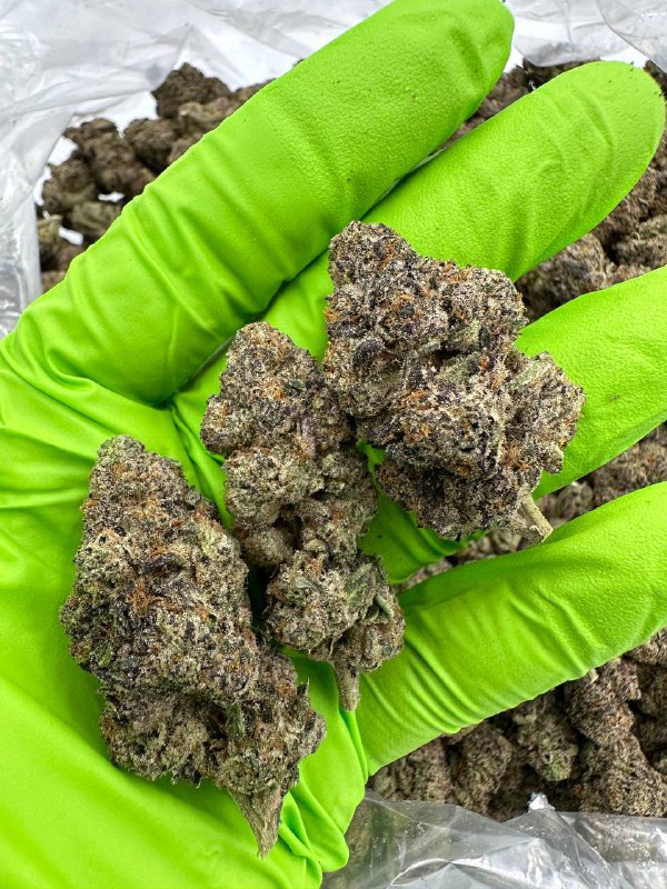 red-velvet-runtz-strain-1.jpeg Red Velvet Runtz Strain - Image 1