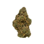 RS11 Strain