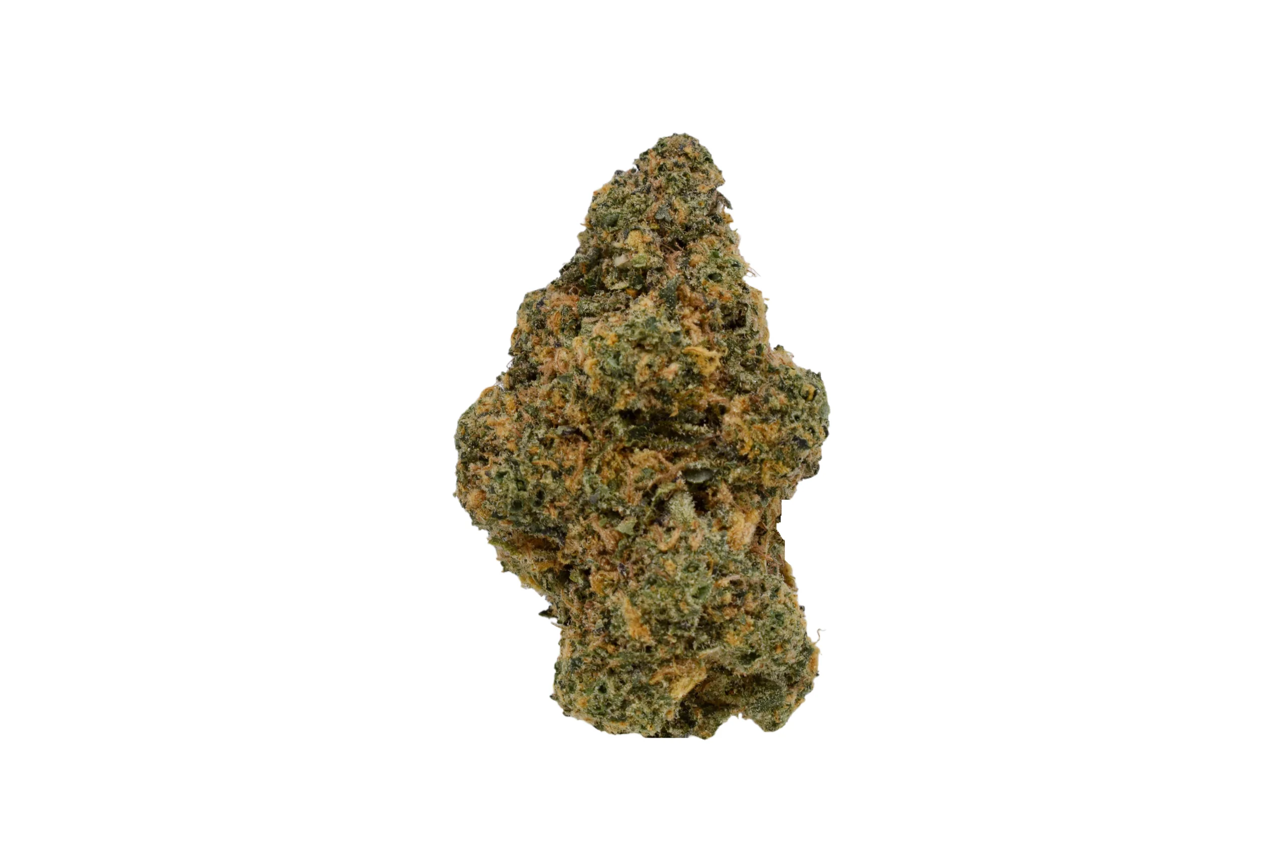 rs11-weed-strain-scaled-1.webp RS11 Strain - Image 1