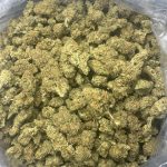 Slurricane Strain