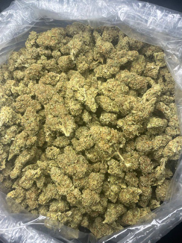 slurricane-strain.jpeg Slurricane Strain - Image 1