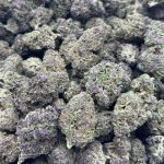 Tropicana Cherries Strain