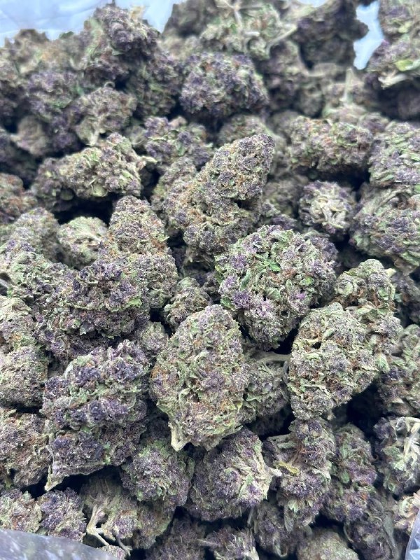 tropicana-cherries-strain.jpeg Tropicana Cherries Strain - Image 1