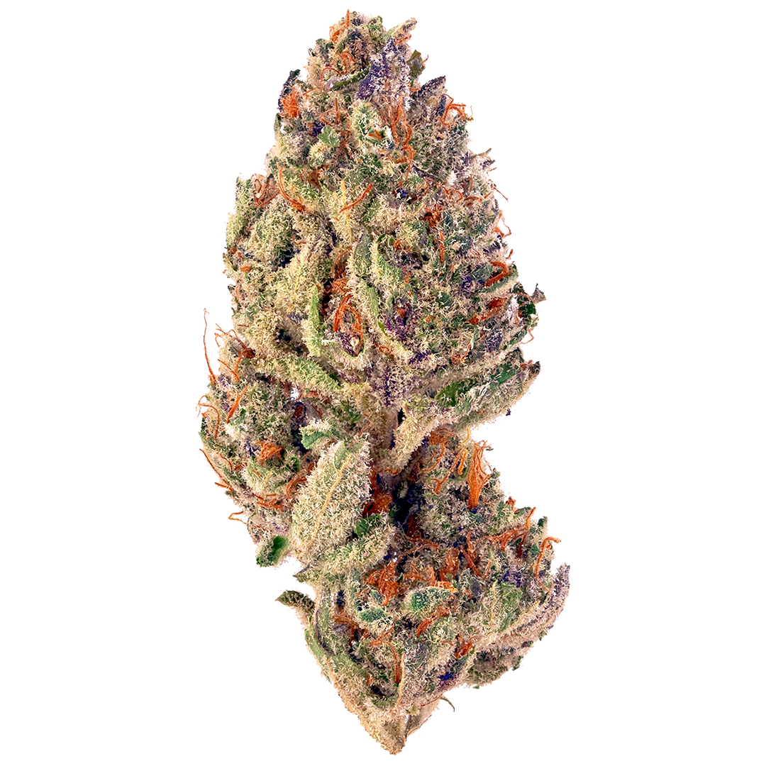 tropicana-cookies-strain.png Tropicana Cookies Strain - Image 1