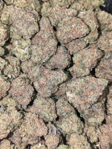 White Gruntz Strain - Image 3