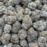 White Lemon Cherry Strain